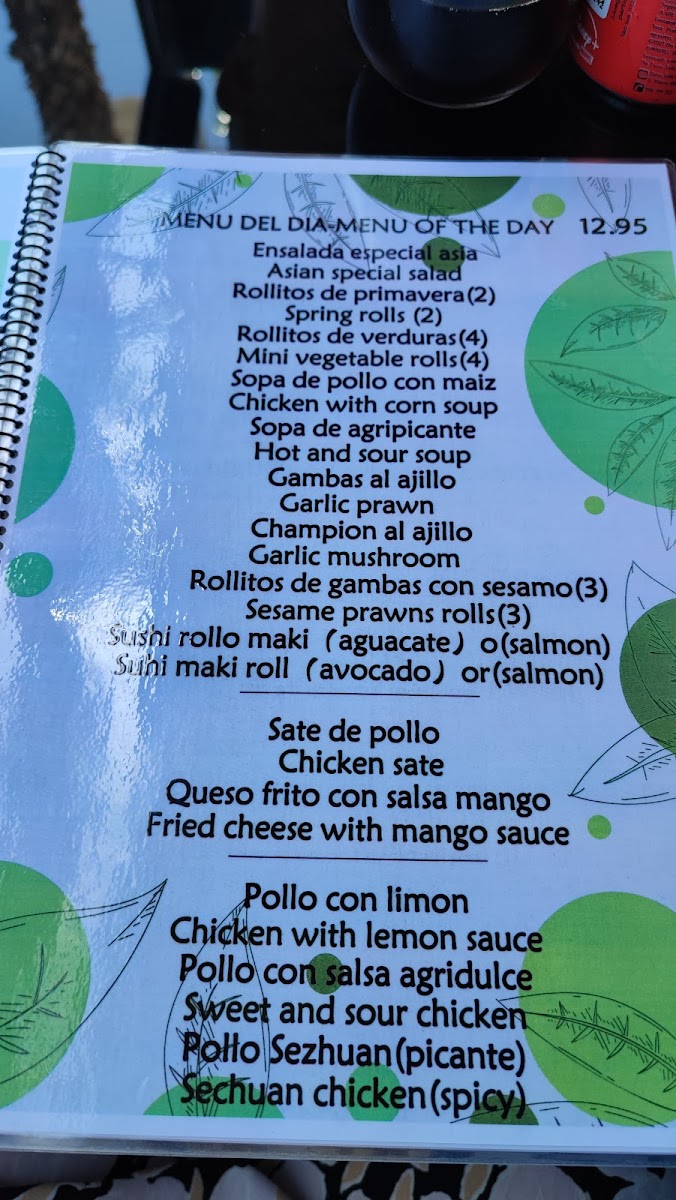 Menu Restaurante Asiático 'happy Garden'-8