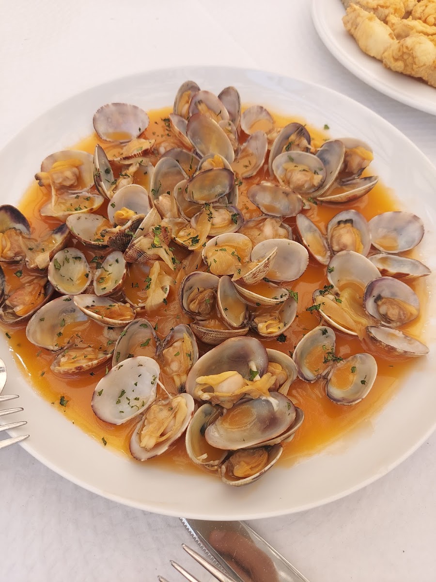 Restaurante Casa Manolo Fuguilla Conil ( Paseo Marítimo).-8