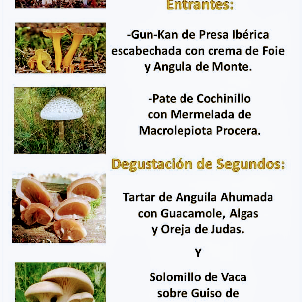 Menu Restaurante Los Jardines De La Brasería-9