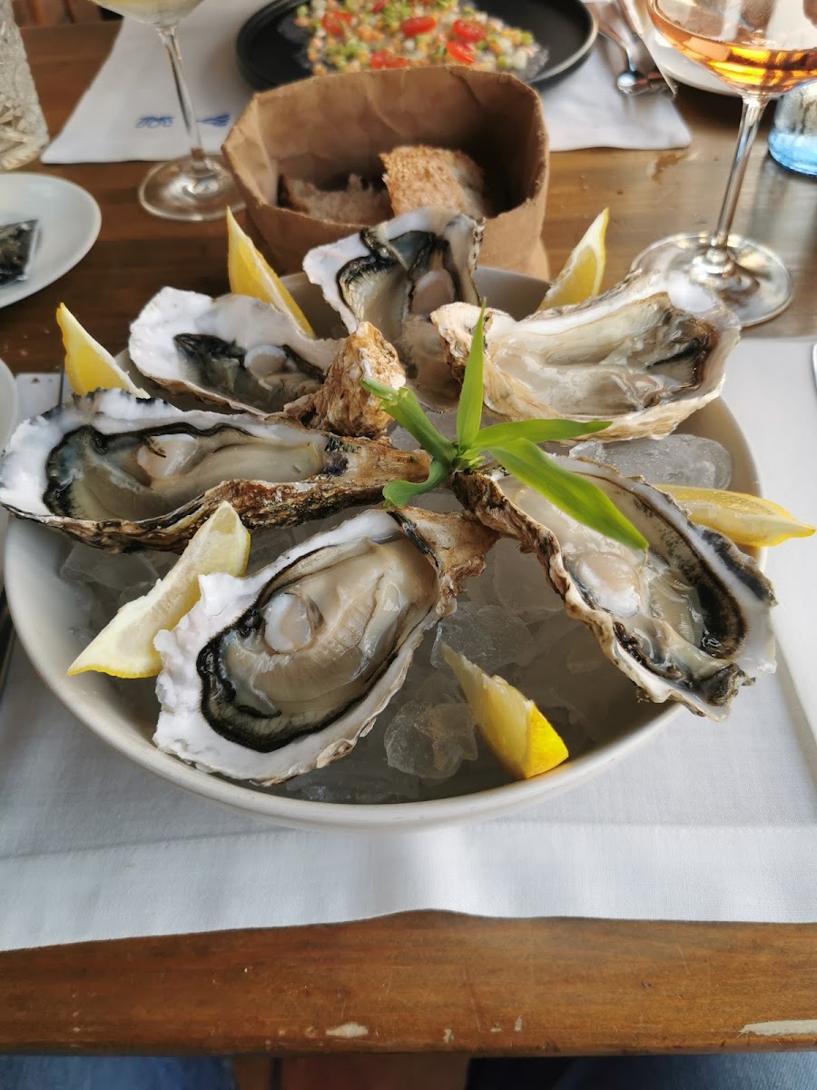 Restaurante Muelle Viejo-9