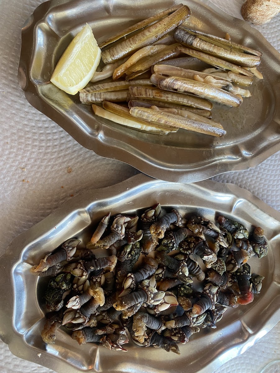 Restaurante Peixoto-9