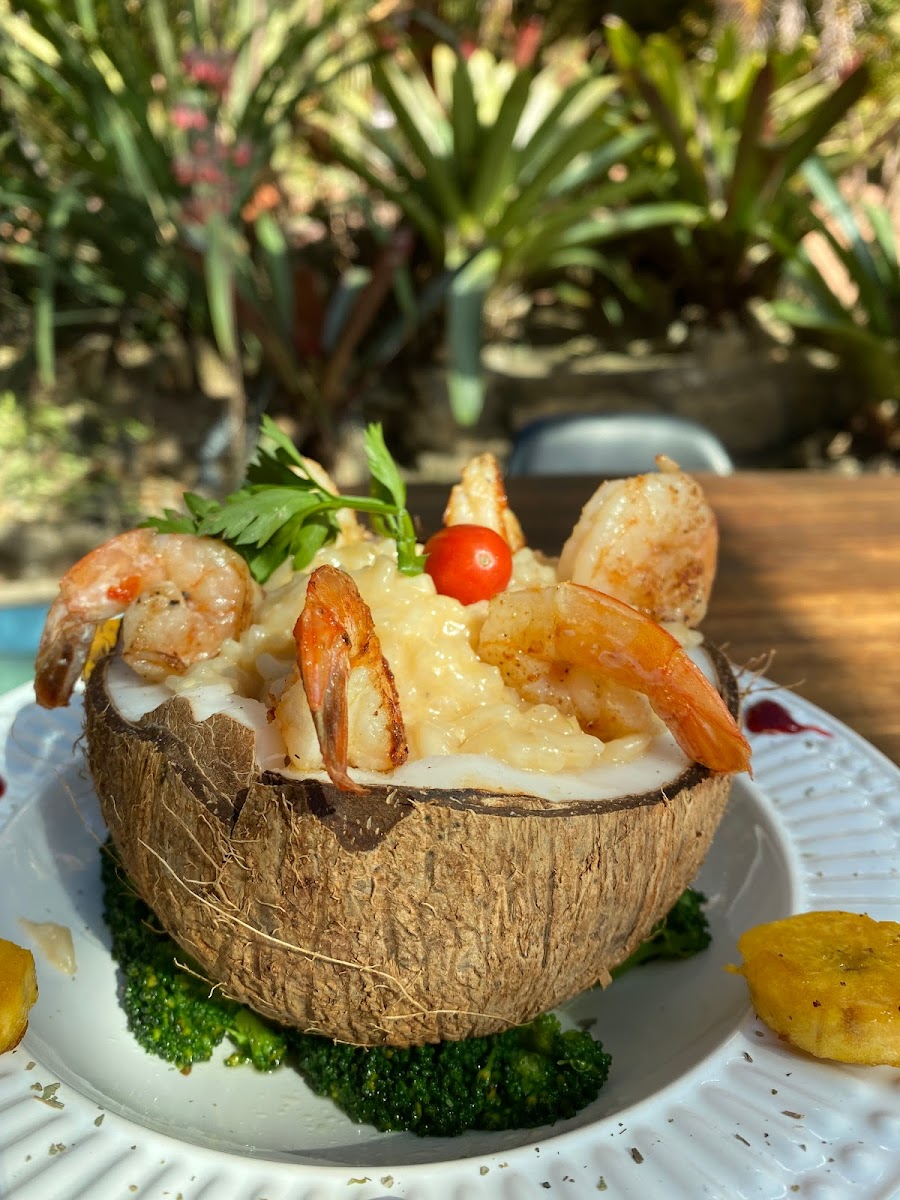 Restaurante Pérgola - Paraíso Dos Coqueiros-3