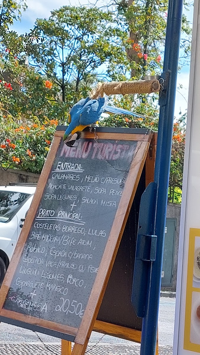 Menu Restaurante Terrace D'ajuda-4