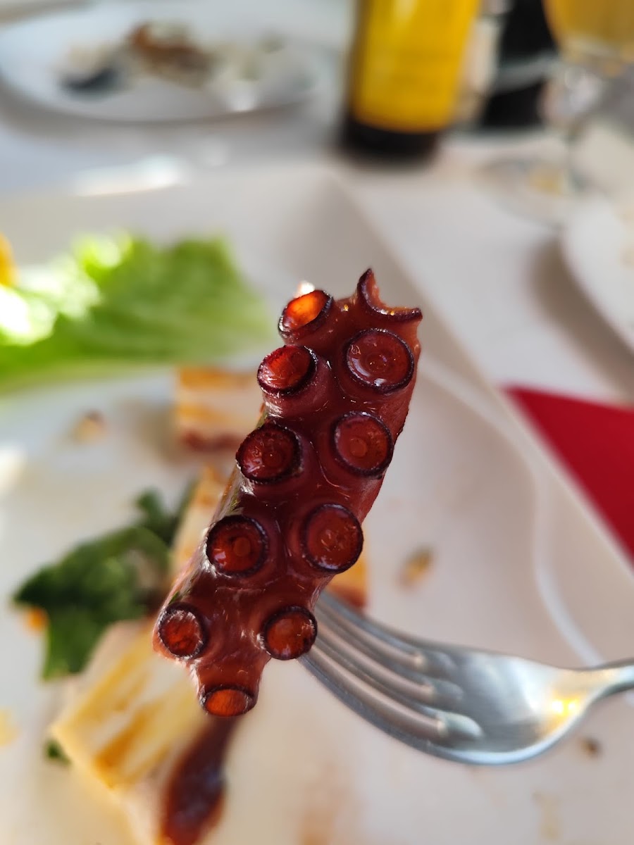 Restorant 'fish House'-7