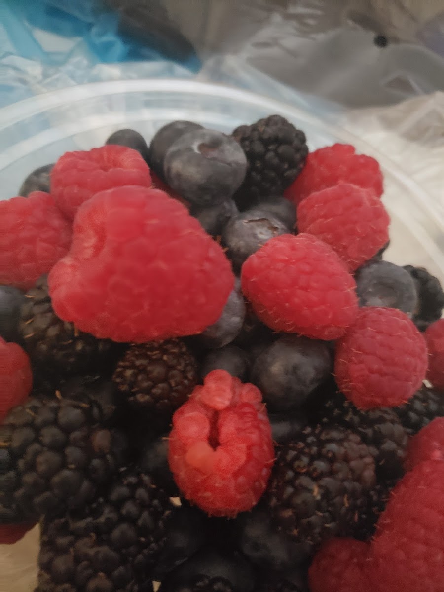 Rico's Acai-8