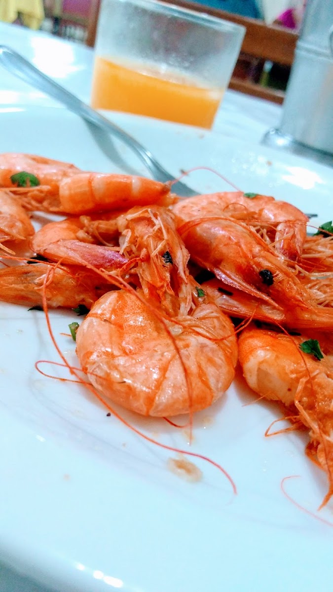 Rio Sushi Grill-6