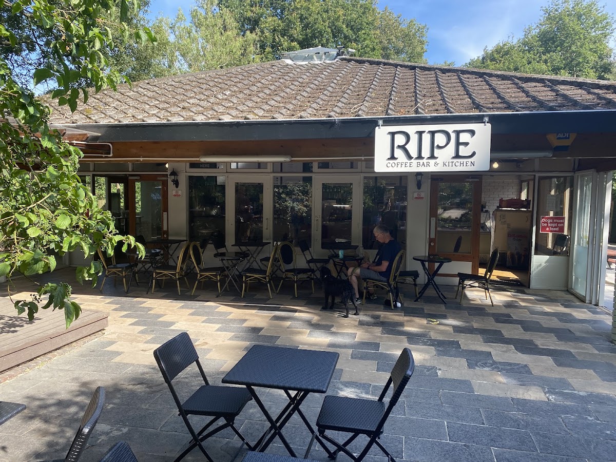 Ripe Kitchen