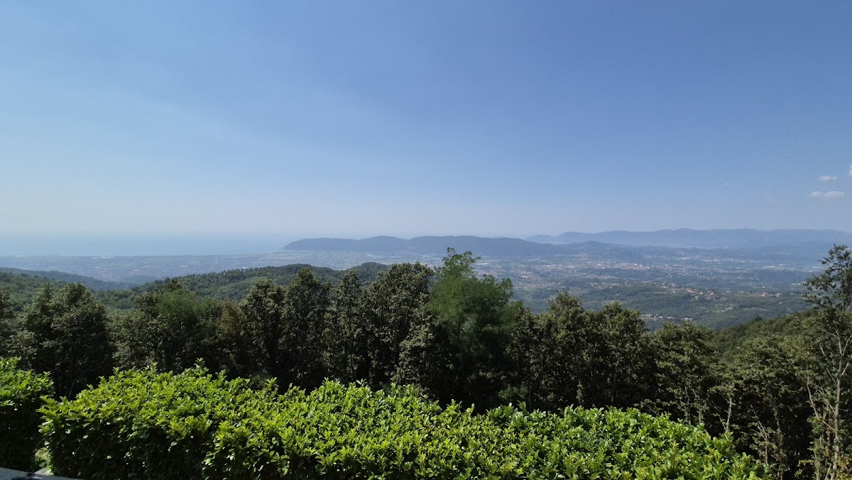 Ristorante Al Falco-4