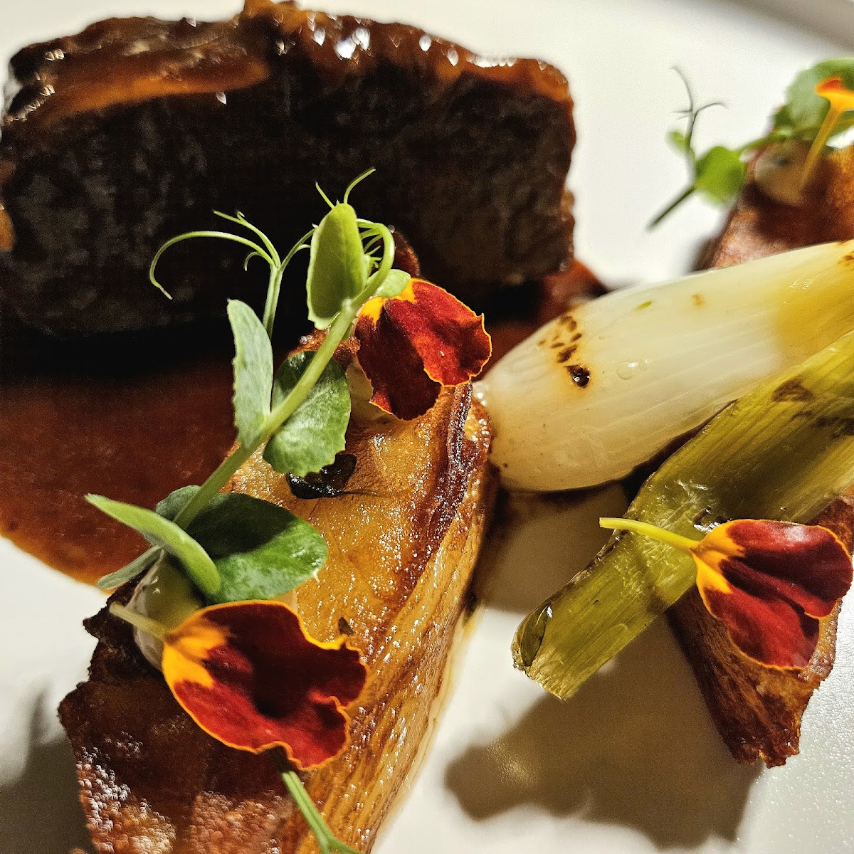 Ristorante Bacchus-9