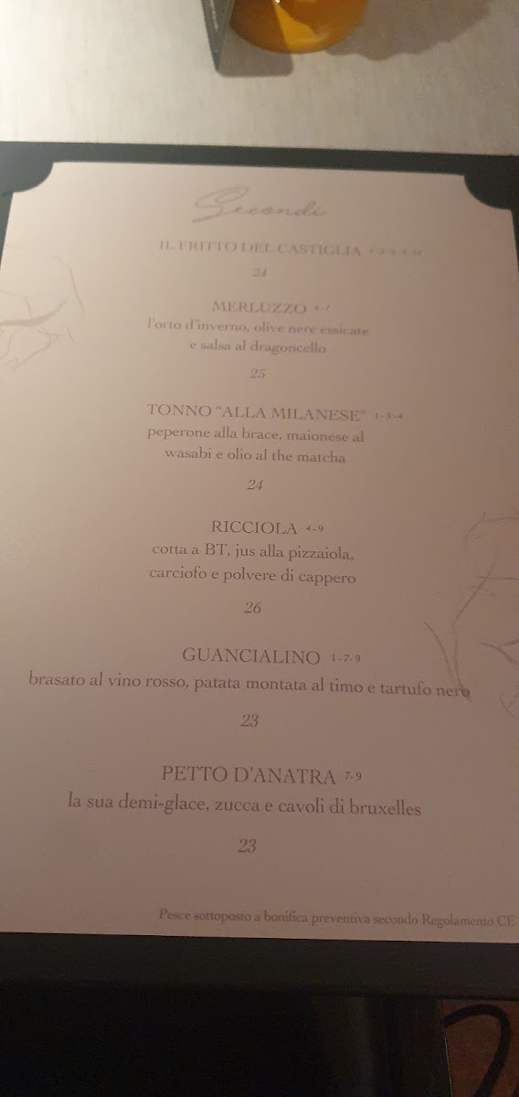 Menu Ristorante Castiglia-5