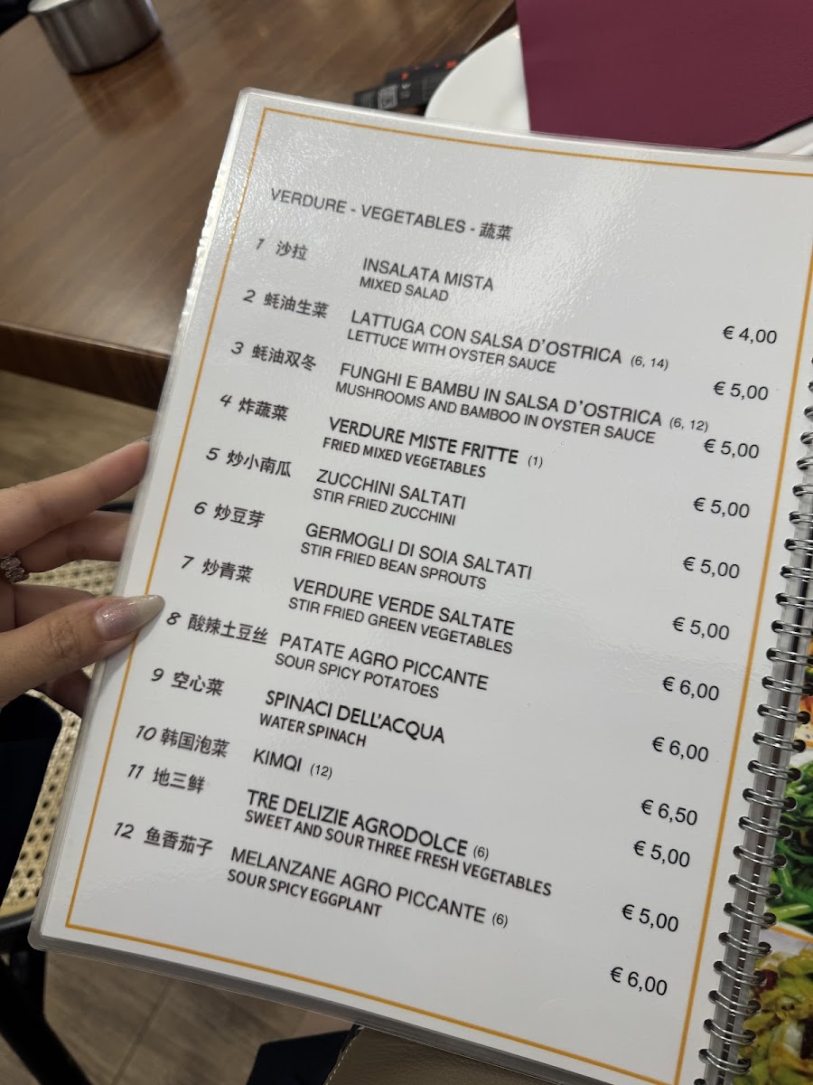 Menu Ristorante Cinese Wang Xiang Lou-3