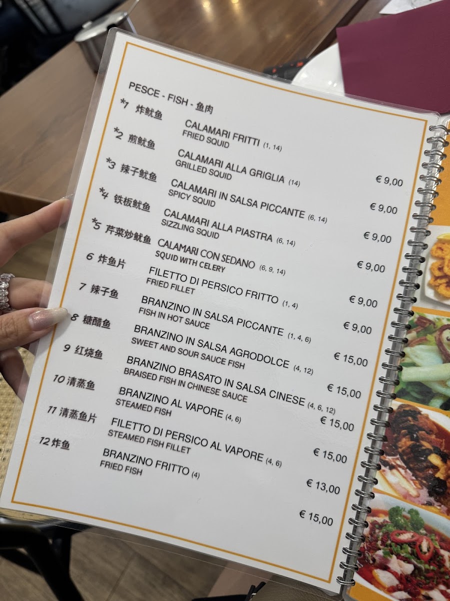 Menu Ristorante Cinese Wang Xiang Lou-6