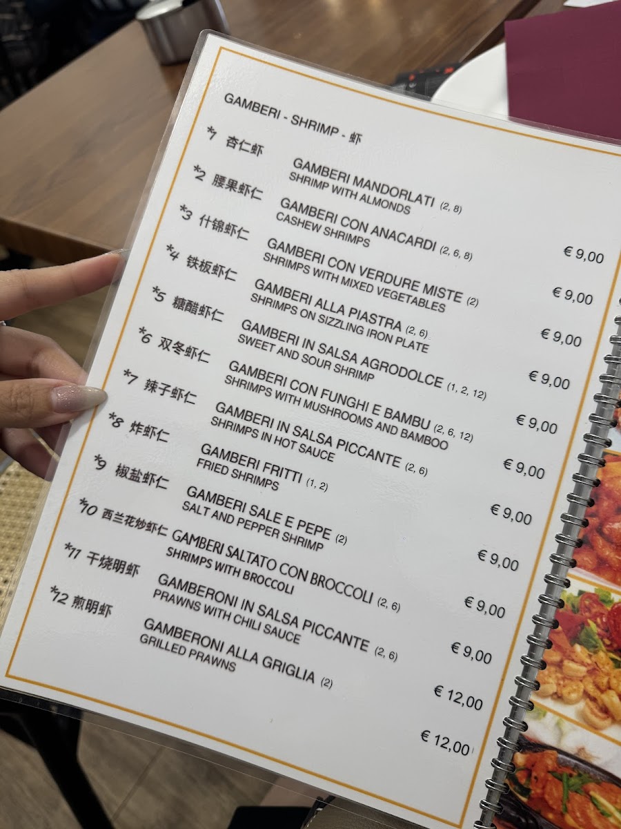 Menu Ristorante Cinese Wang Xiang Lou-7