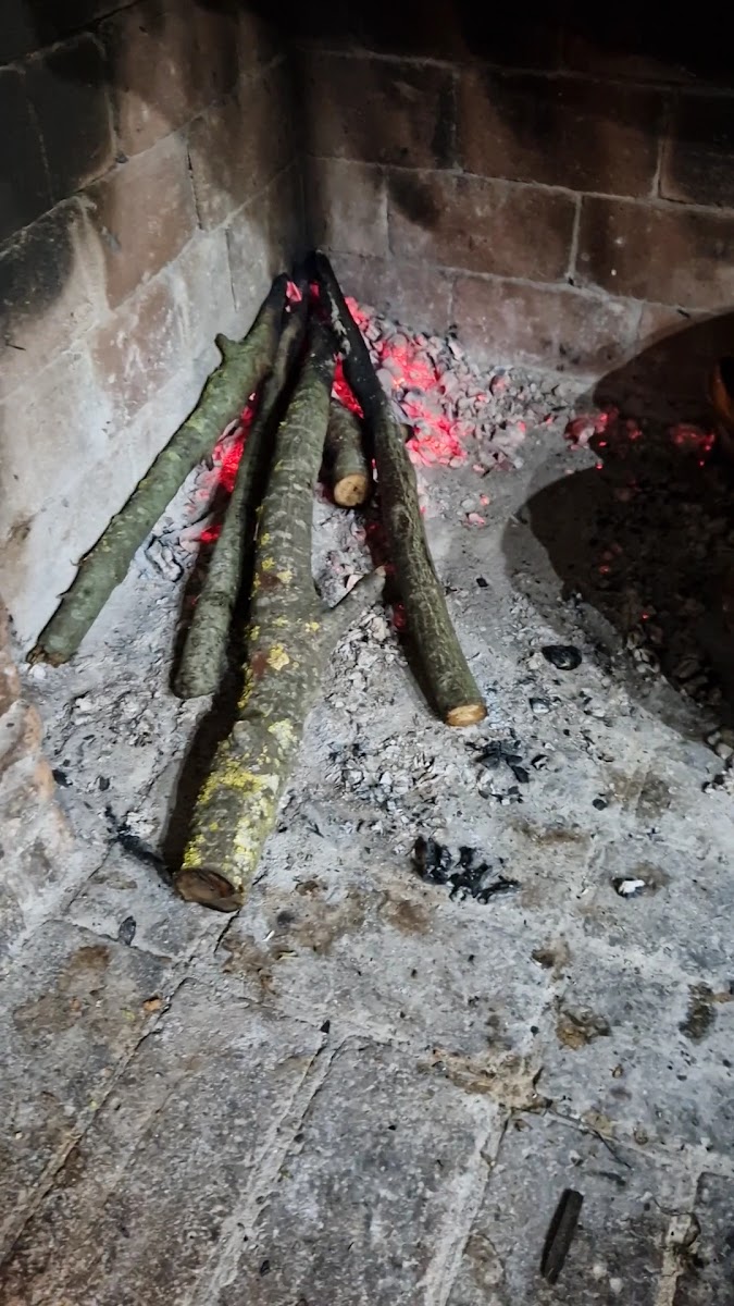 Ristorante Da Eliseo-2