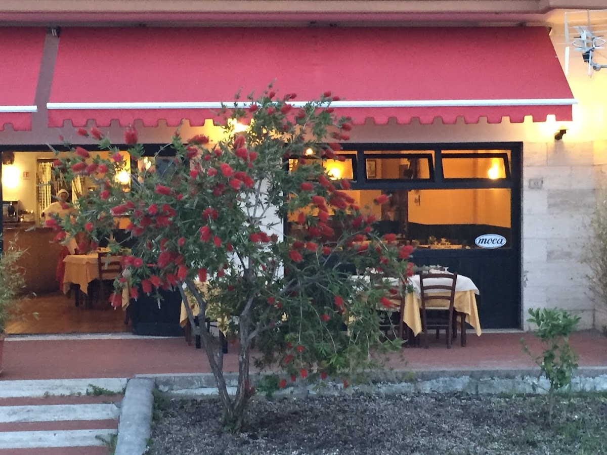 Ristorante Pizzeria Donna Rosa