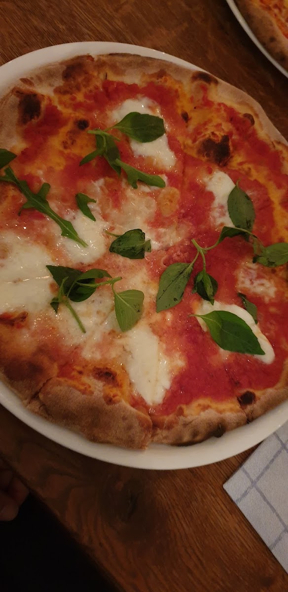 Ristorante Pizzeria - Papanova-6