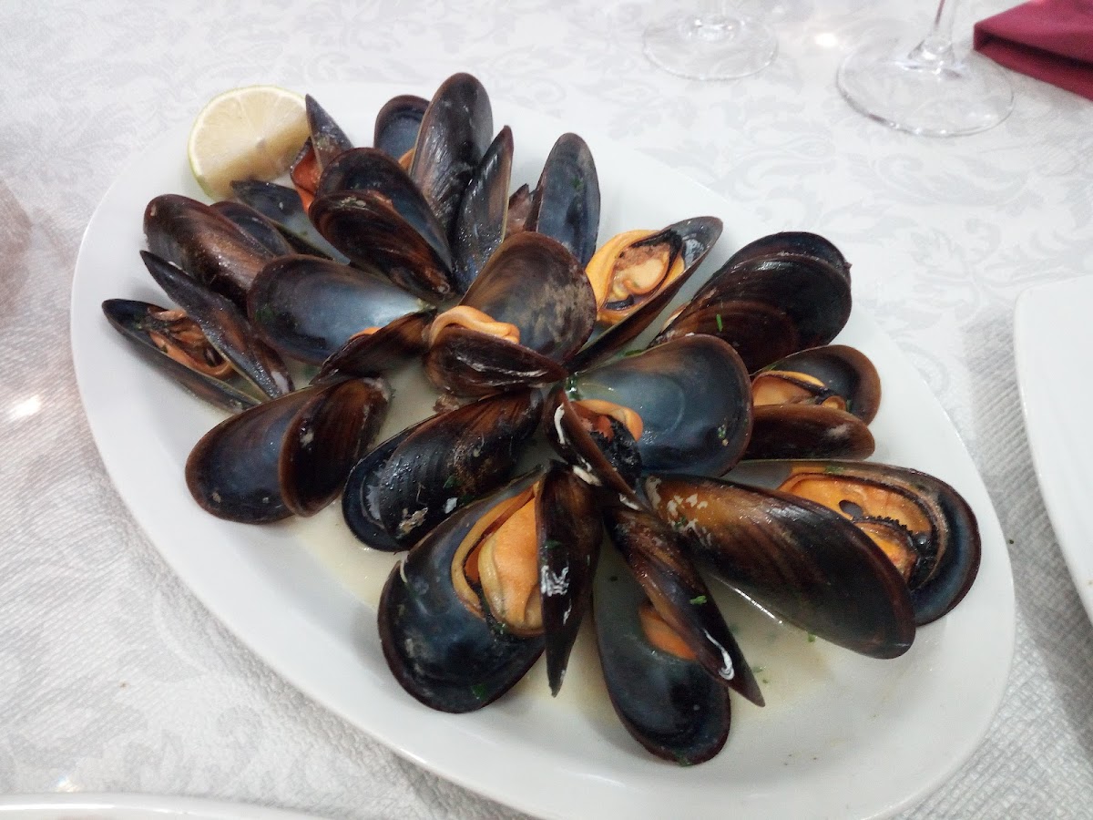Ristorante Trattoria Le Plaisir-8