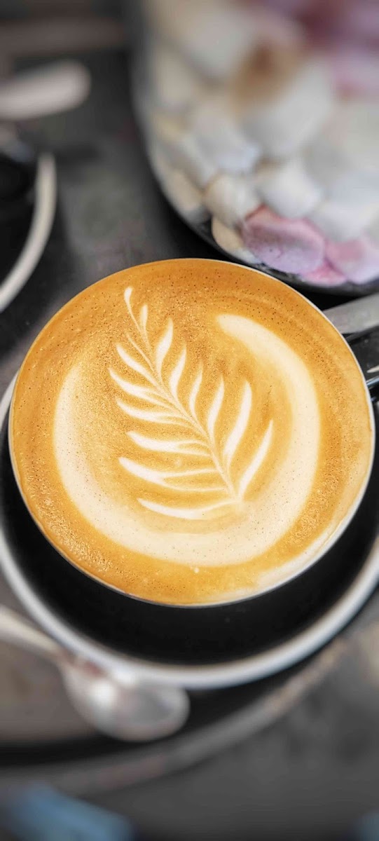 Robert Harris Cafe Whakatane-5