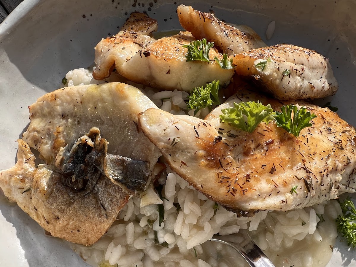 Rodos Good Taste Restaurant-10