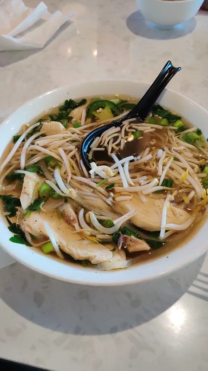 Rollz Vietnamese-2
