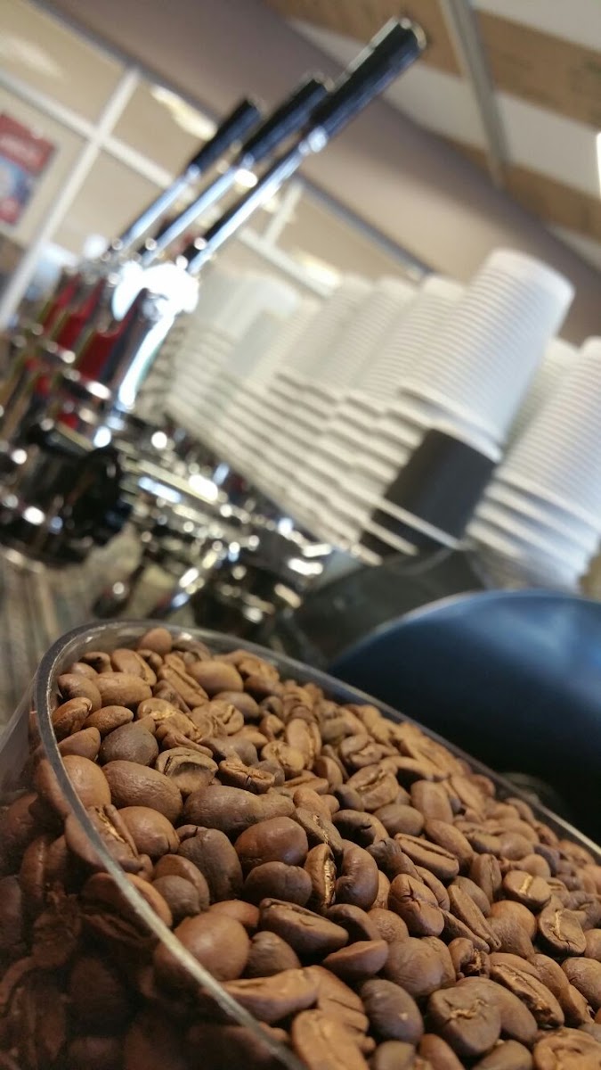 Root Coffee - Paddagat-2