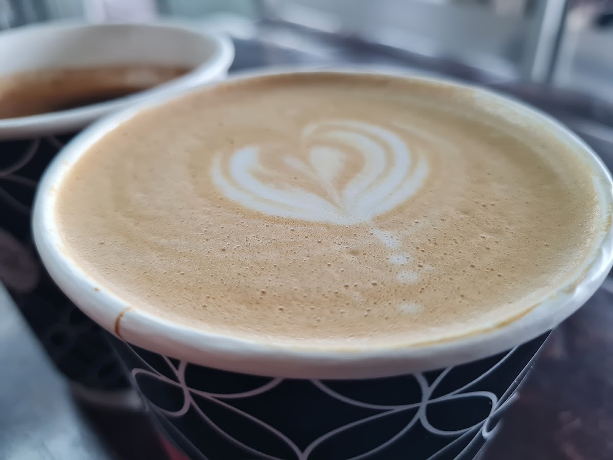 Root Coffee - Paddagat-8