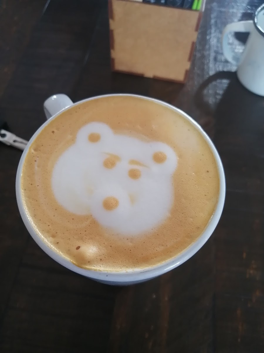 Root Coffee - Paddagat-9
