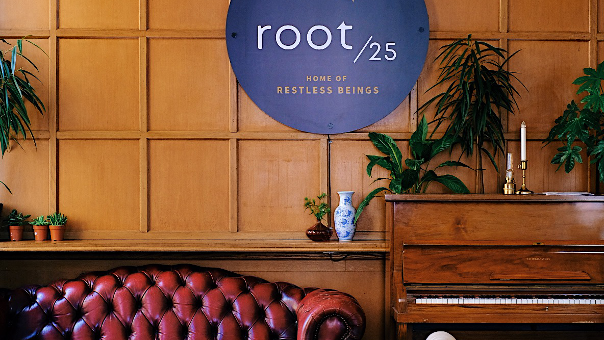 Root25-4