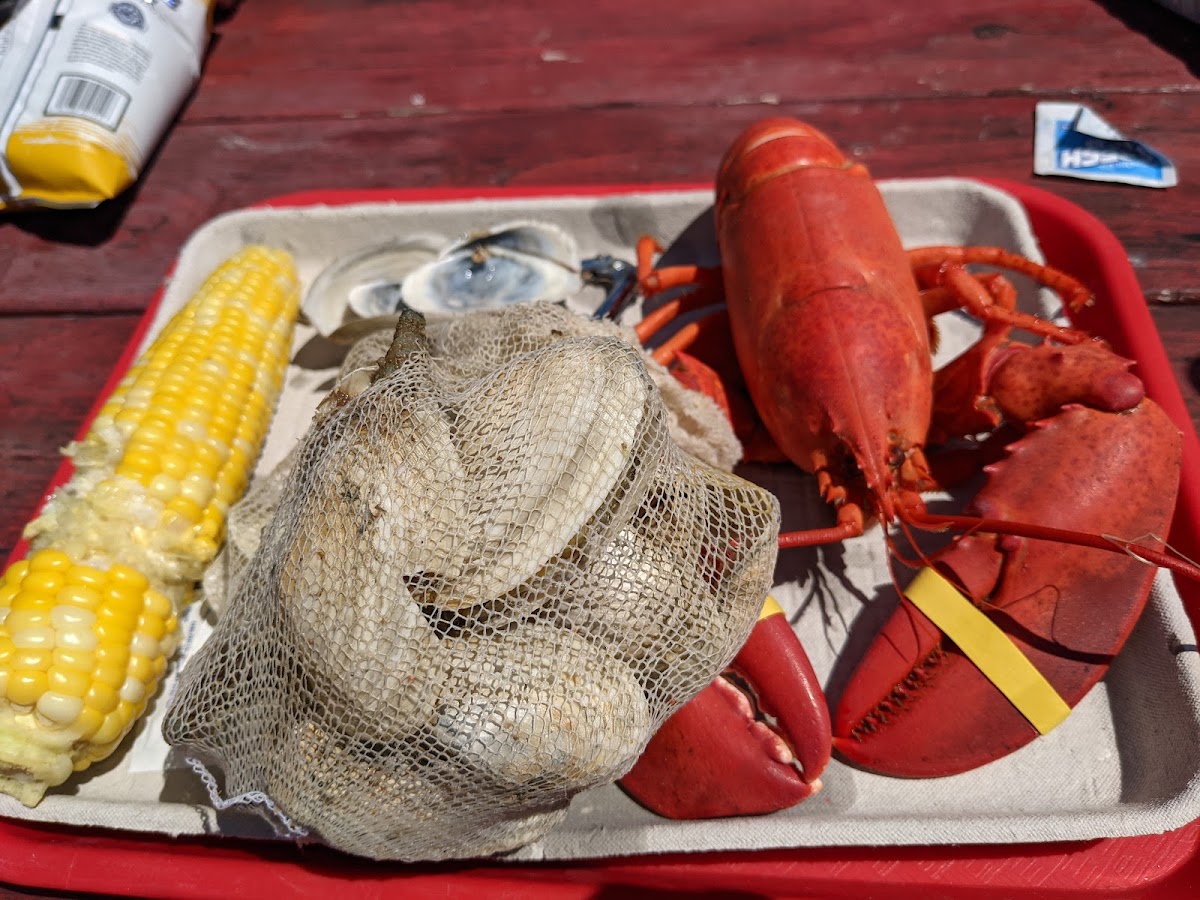 Round Pond Lobster-5