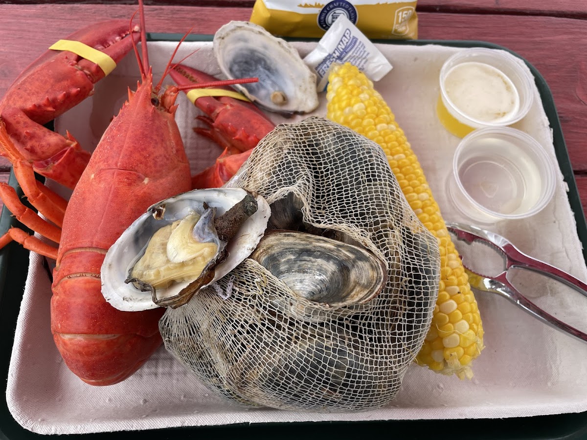 Round Pond Lobster-9