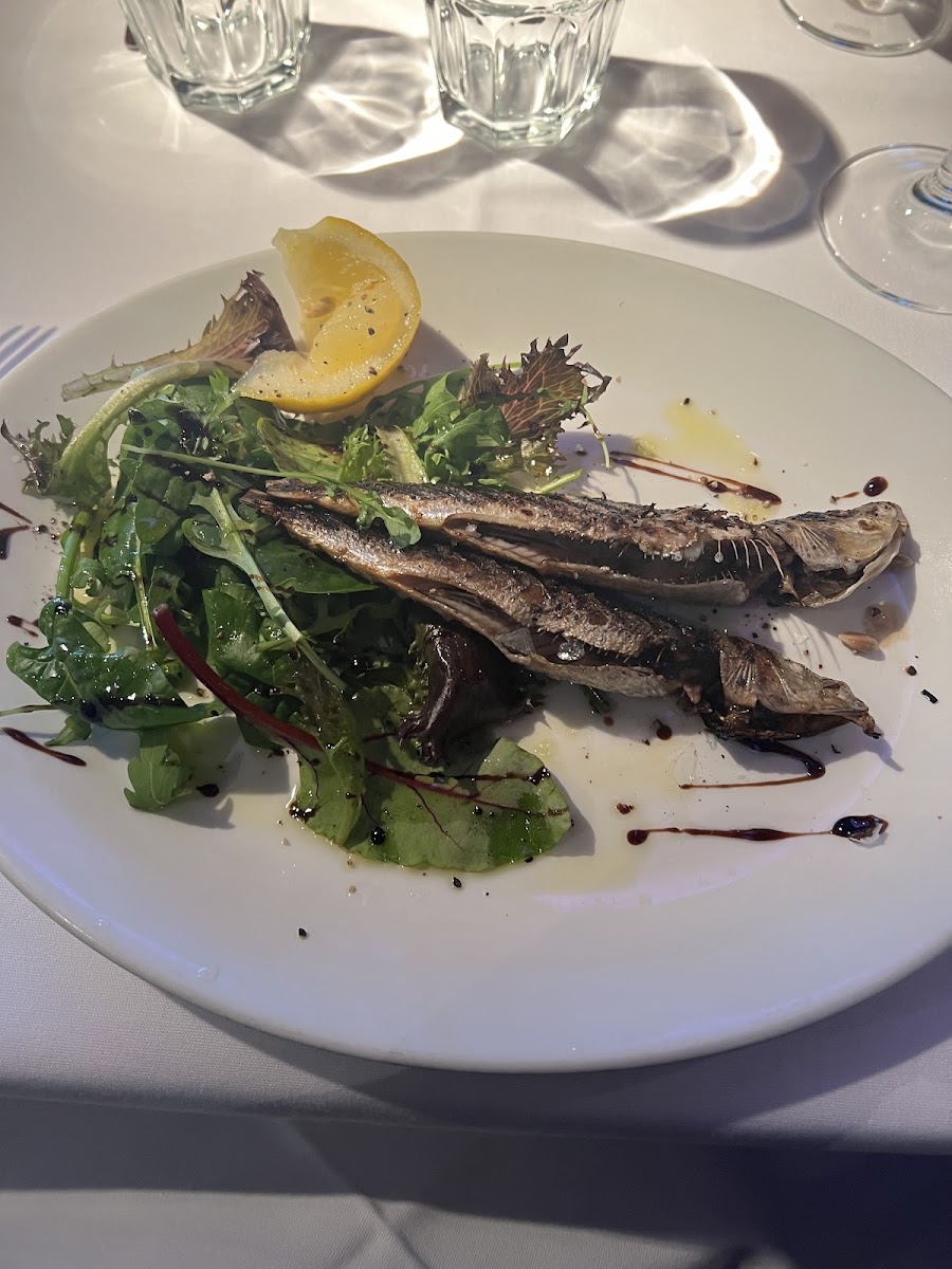 Rucola-9