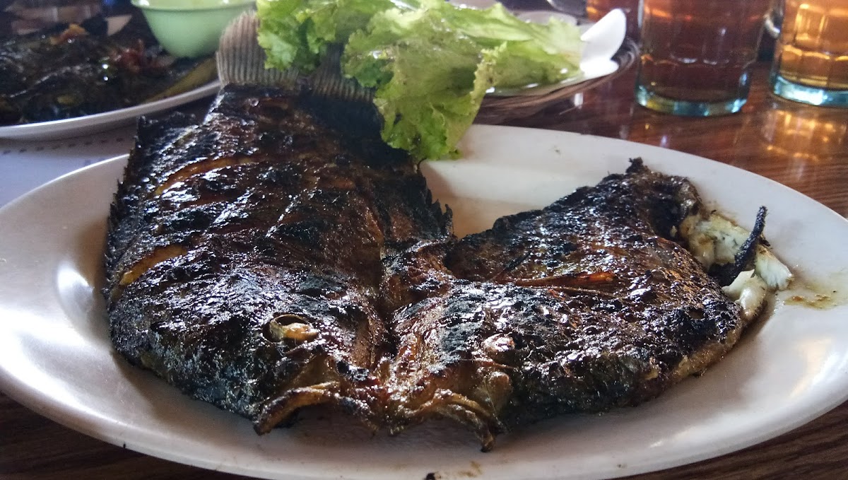 Rumah Makan Samara Desa-7