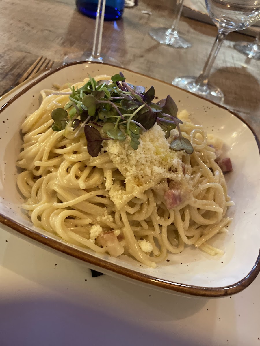 Sabanna Barcelona-6
