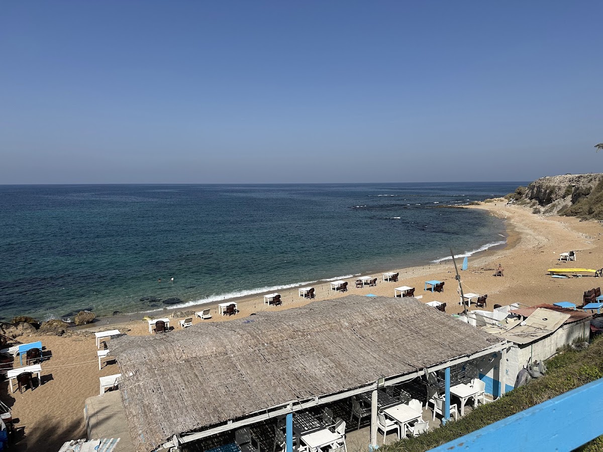 Safa Kassab-4