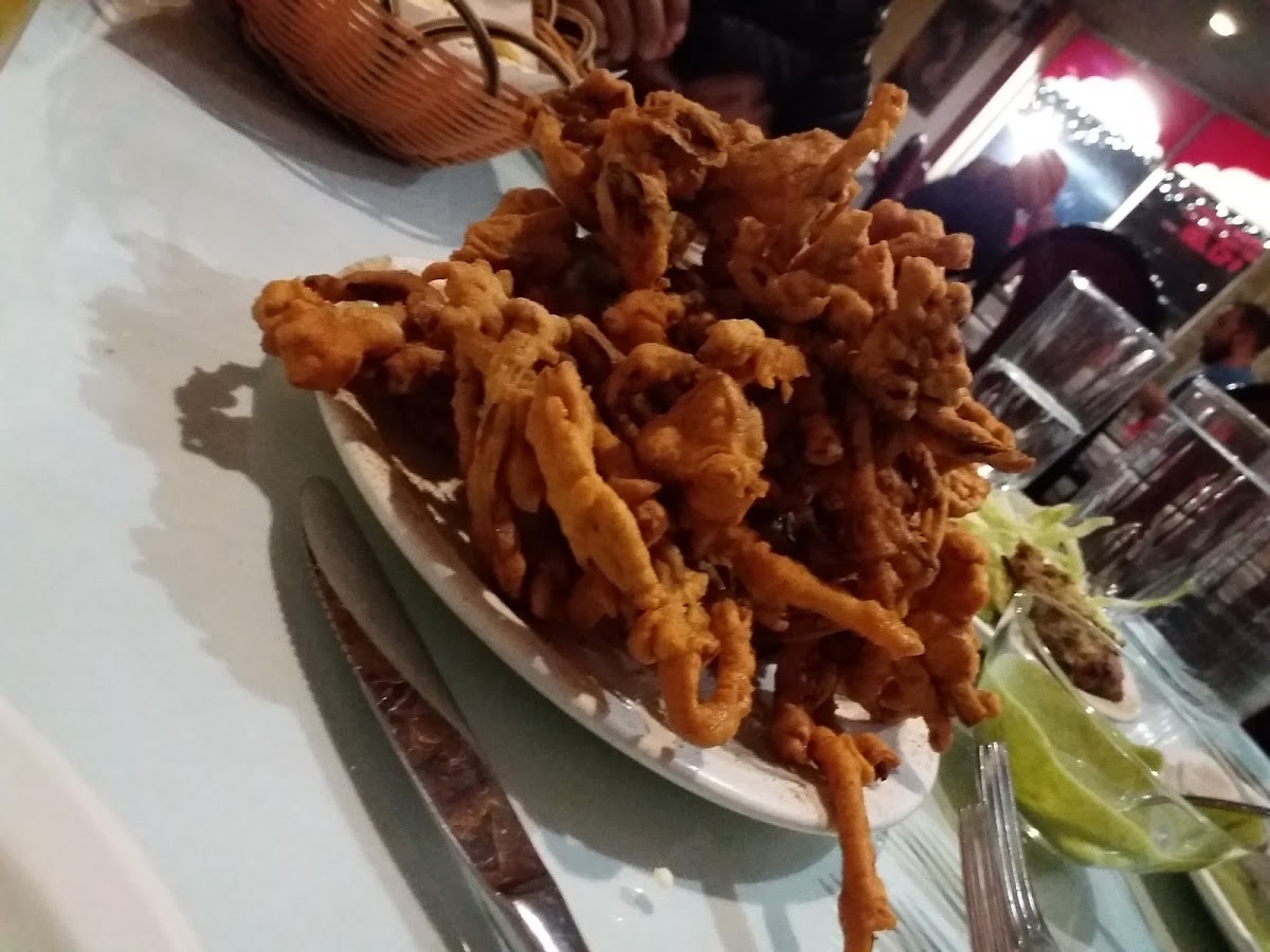 Sagar Indian Restaurant-9