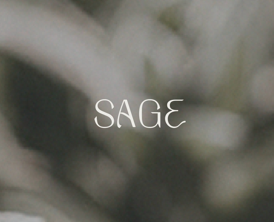 Sage - Columbia, Mo-3