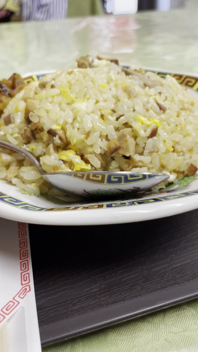 Saien-2