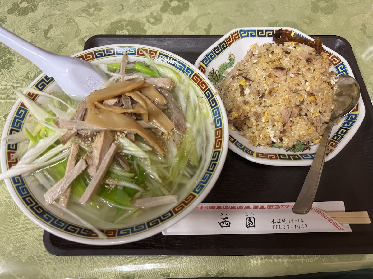 Saien-3