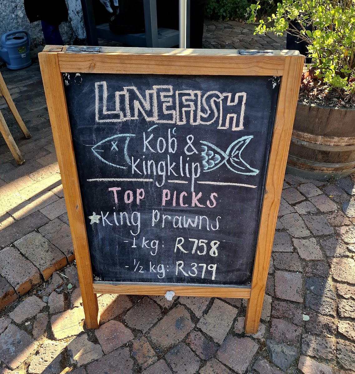 Menu Salmon & Brine-7