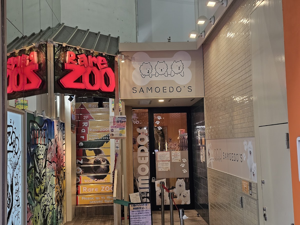 Samoedos Shinsaibashi