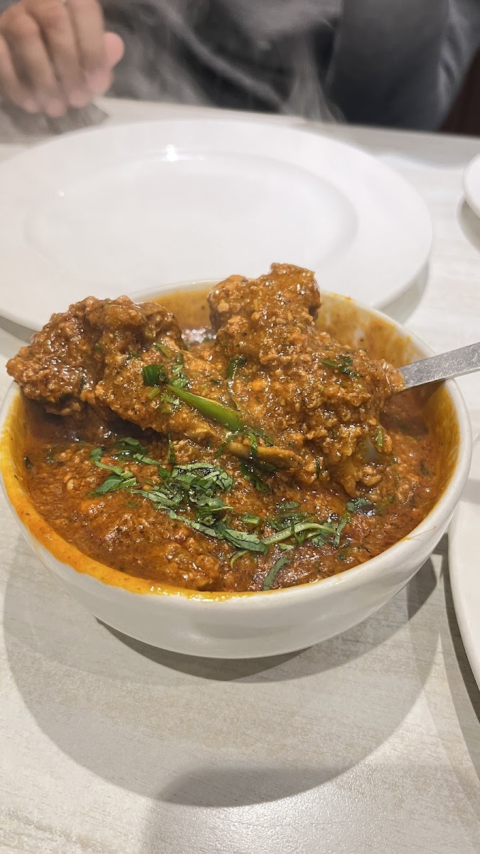 Sandoz Restaurant - Karol Bagh-6