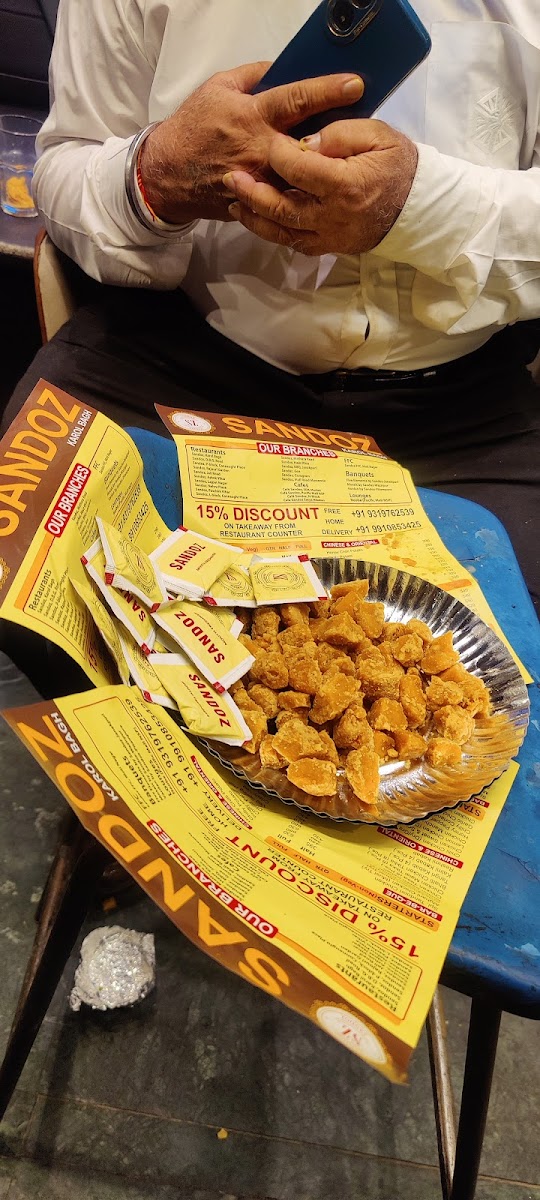 Sandoz Restaurant - Karol Bagh-8