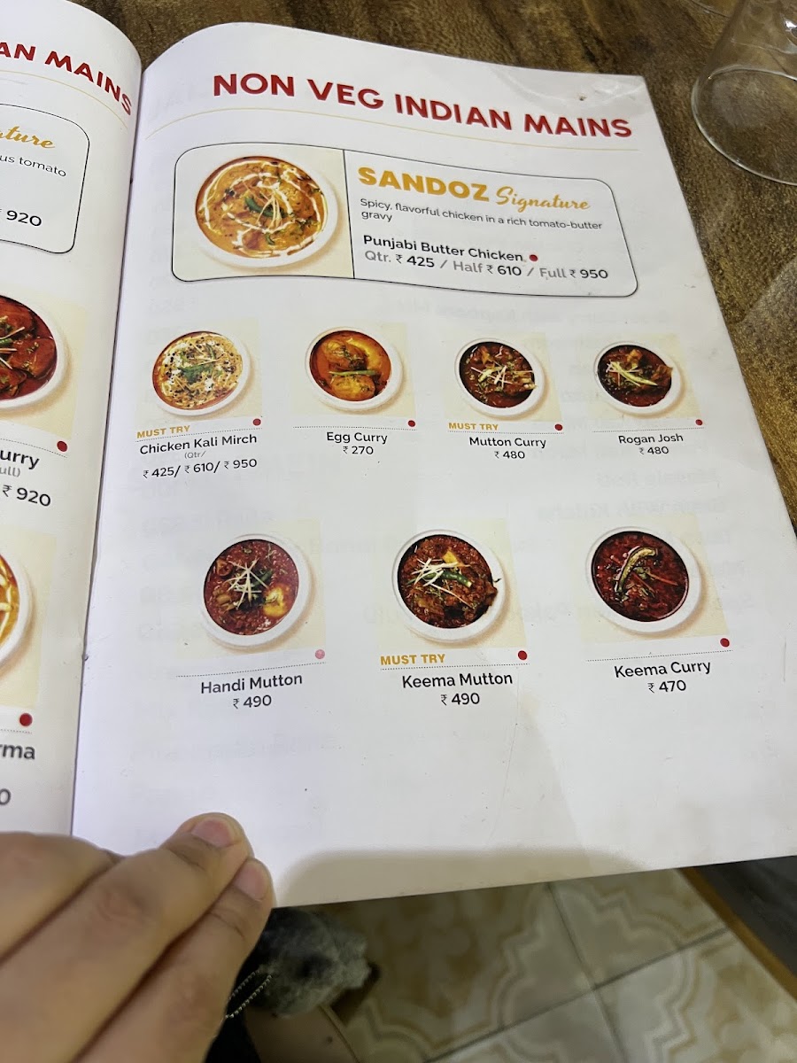 Menu Sandoz Restaurant - Karol Bagh-9