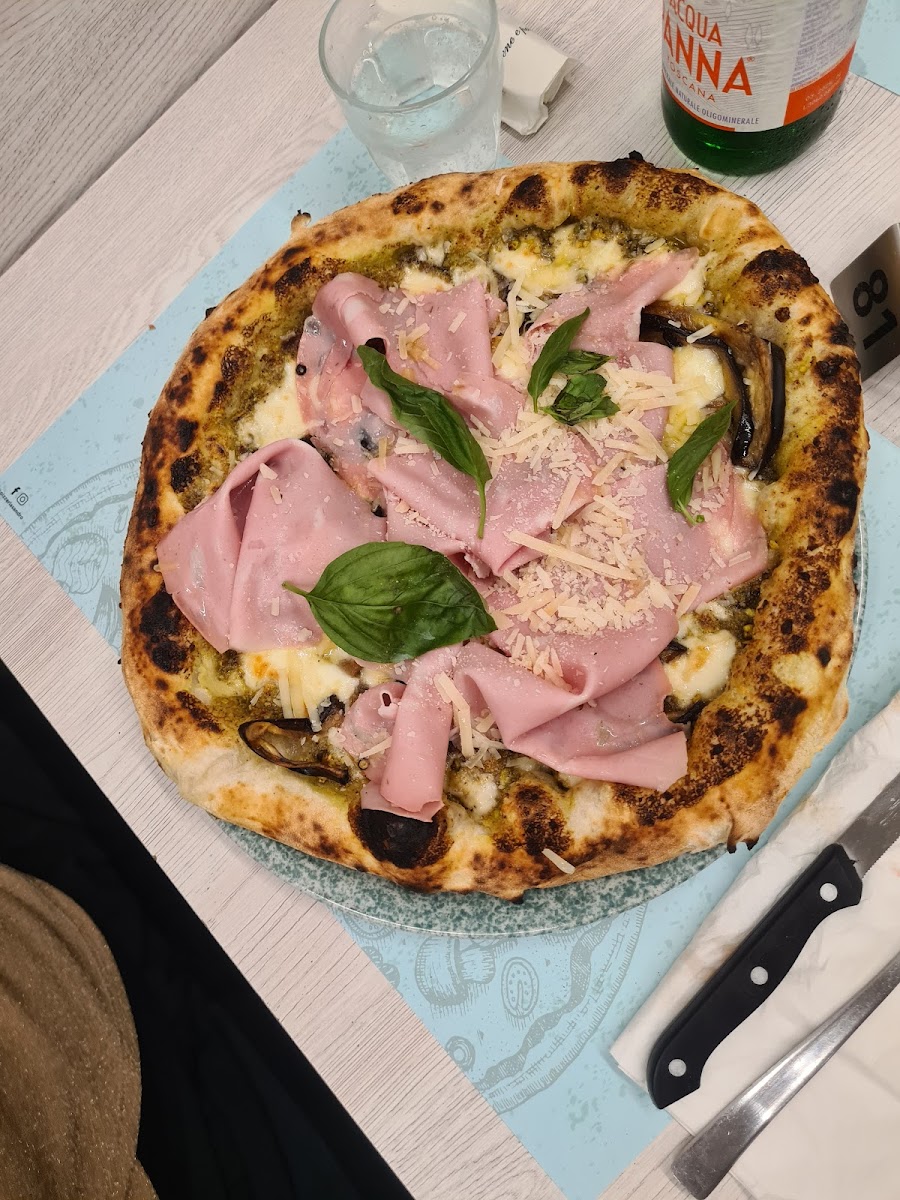 Sandro Emozioni A Spicchi-4
