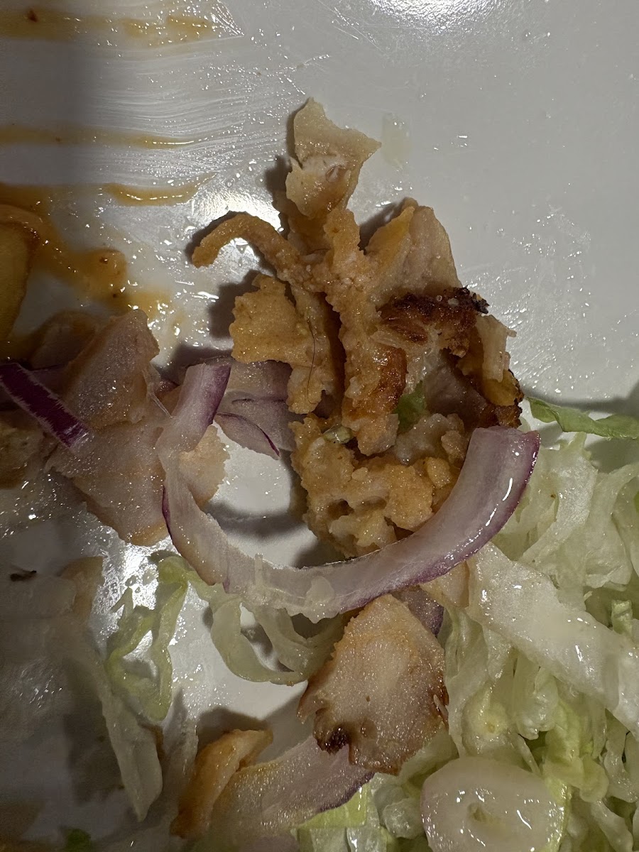 Sandwicherie (Kebab-Panini-Frites)