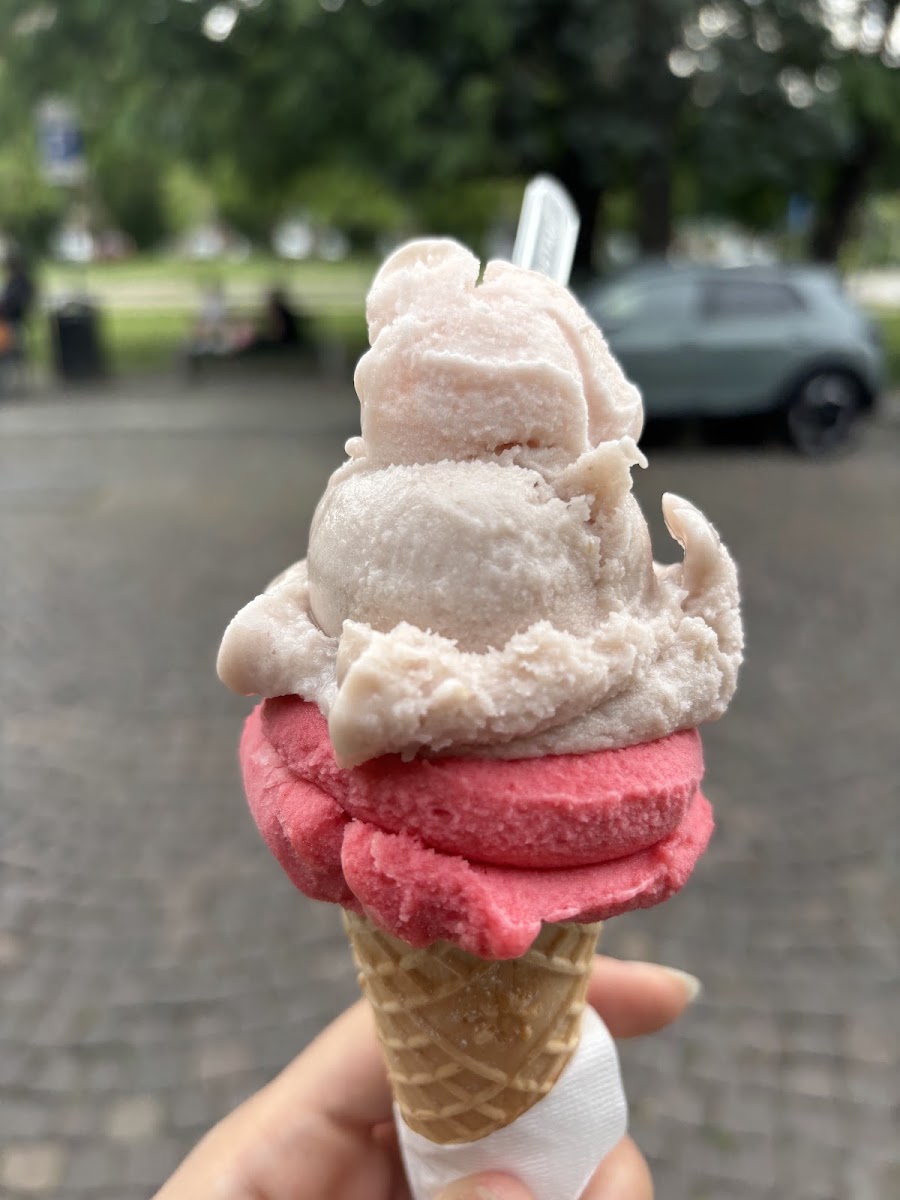 Sangiuda - Ice Cream & Chocolate-3