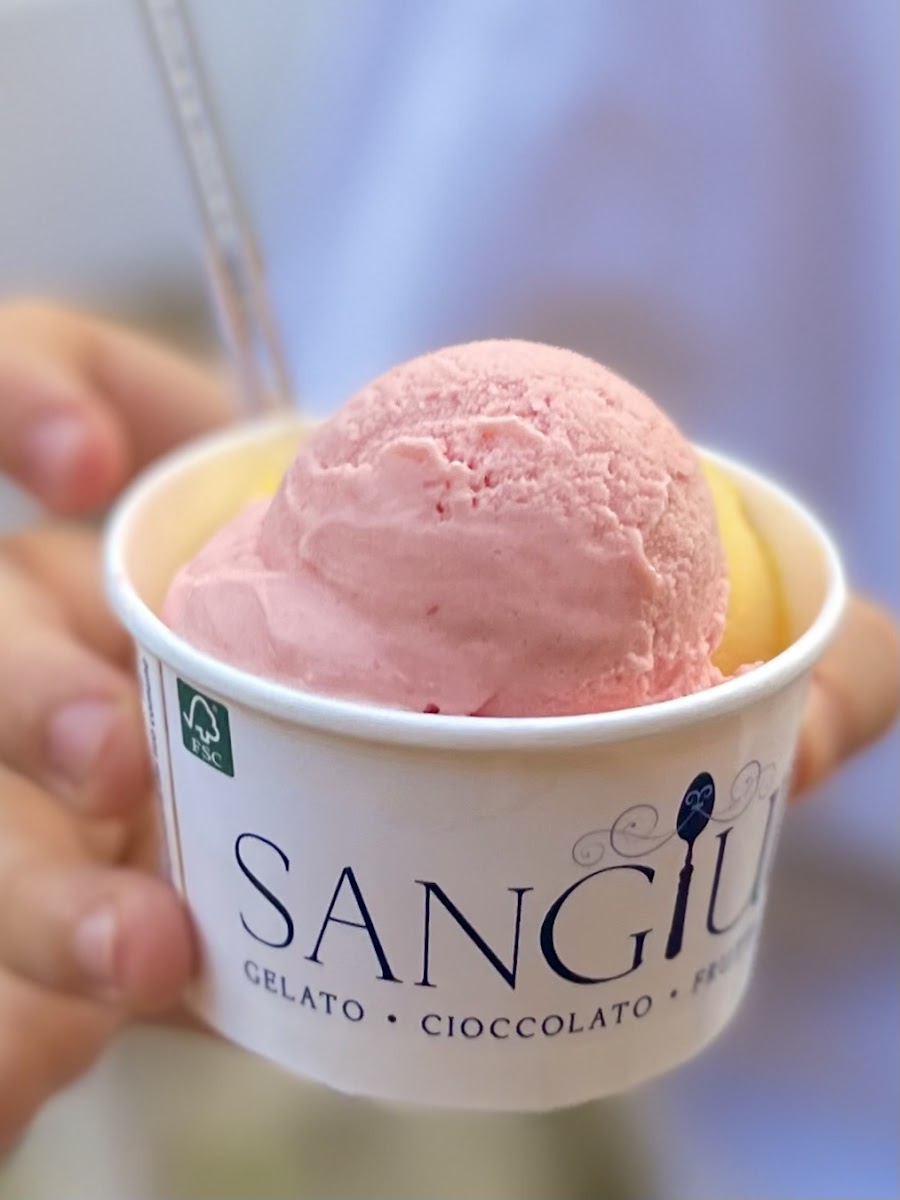 Sangiuda - Ice Cream & Chocolate-4