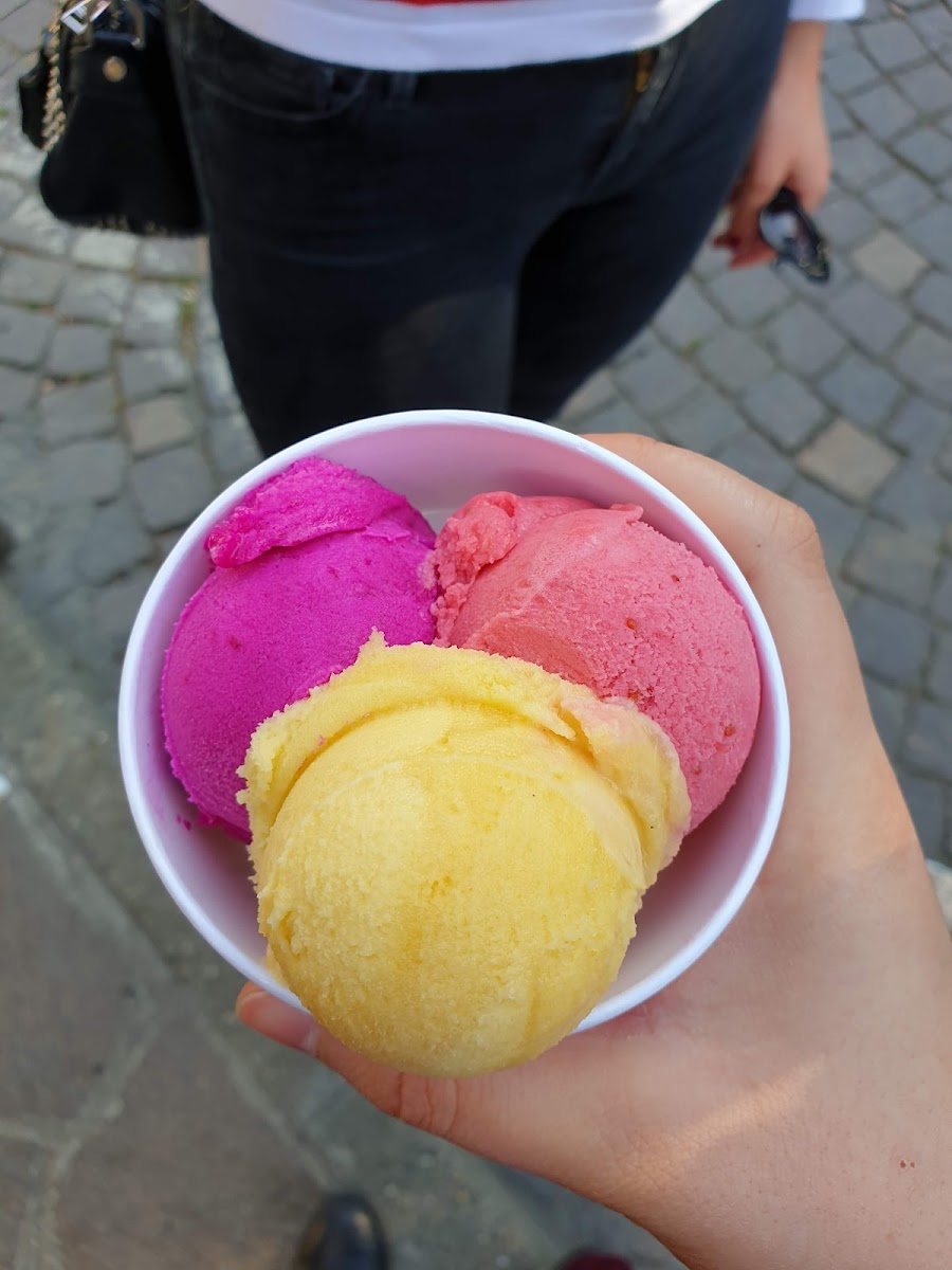Sangiuda - Ice Cream & Chocolate-9