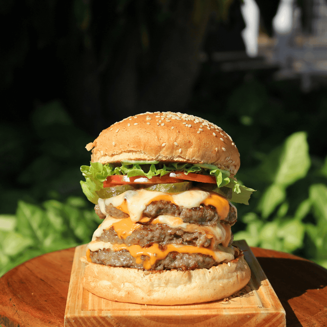 Santoiche Hamburgeria-5