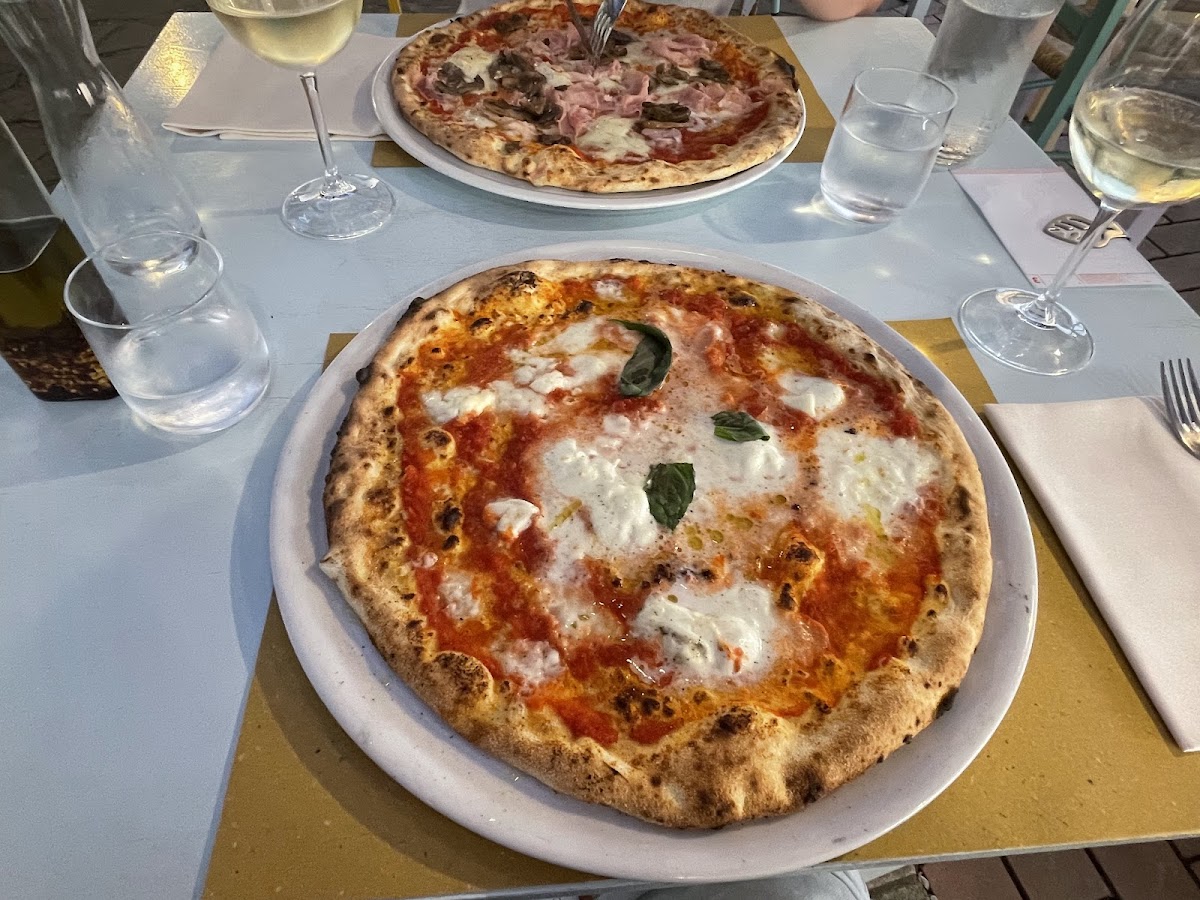 Sardineri-2